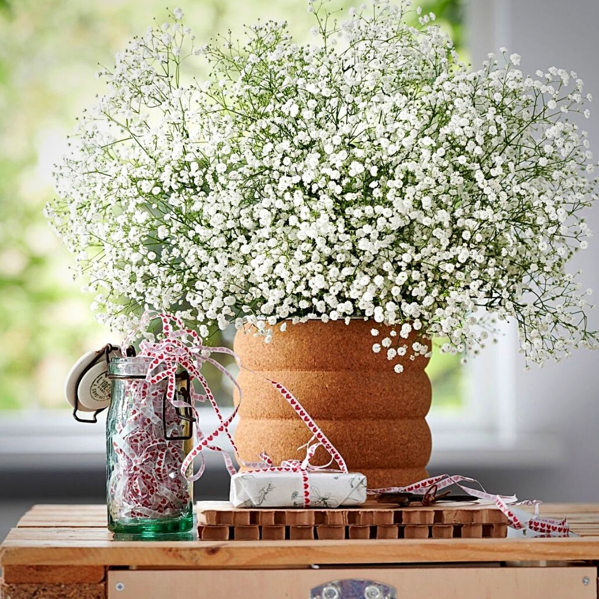 Baby's Breath Gypsophila, Fresh Gypsophila Flowers