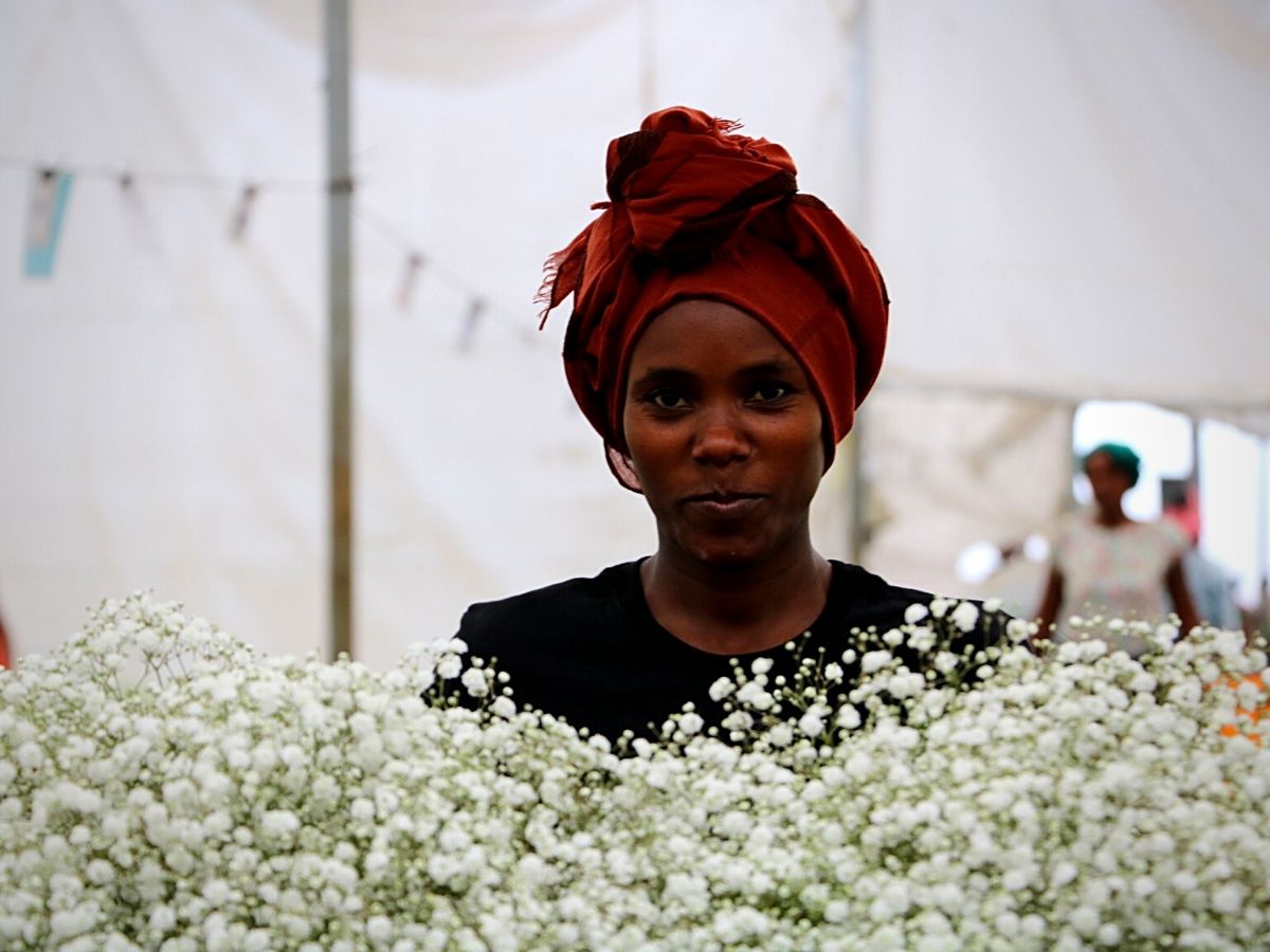 Klaver Flowers tips for caring for gypsophila flowers