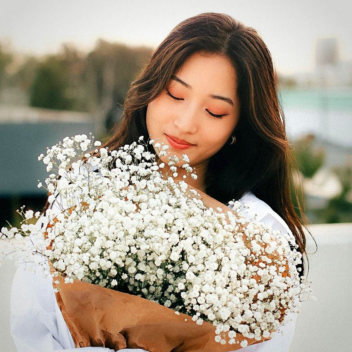 the Charming Gypsophila Flowers