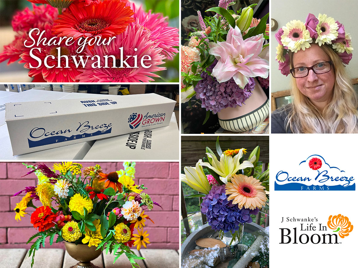 Share Your Schwankie promo