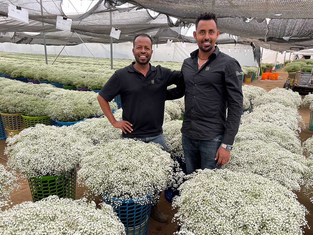 Klaver Flowers workers Ethiopia