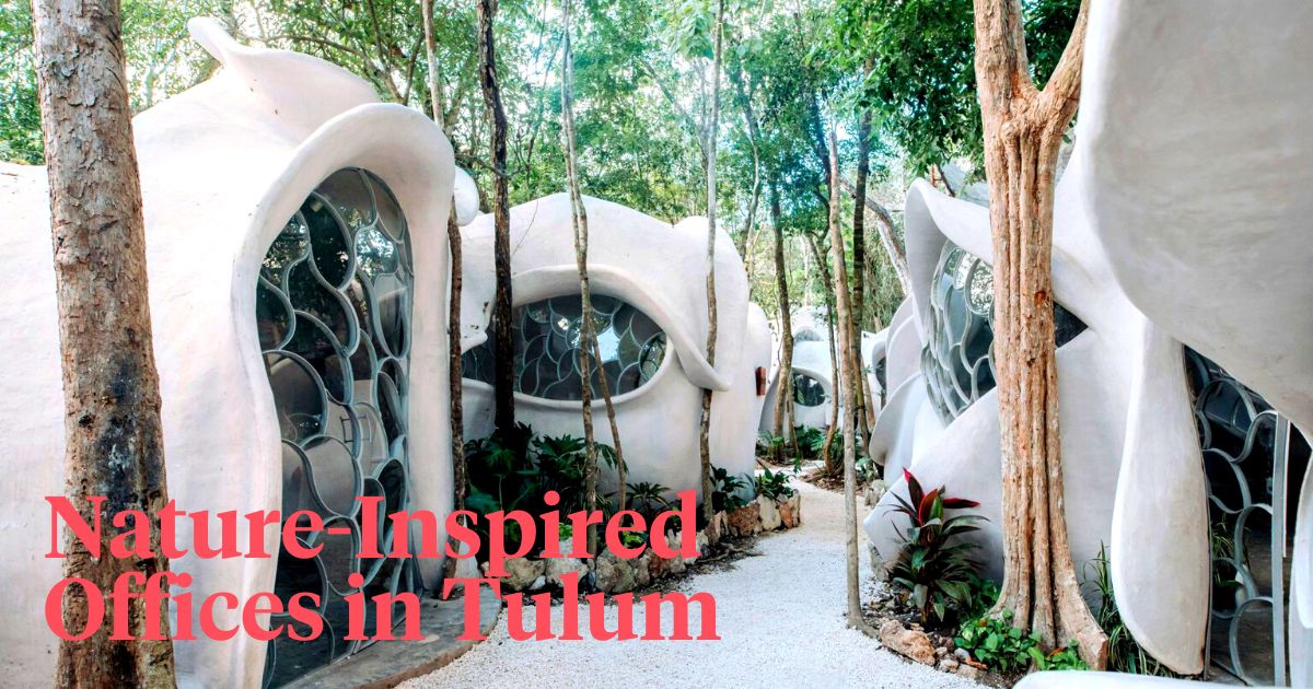 Nature inspired offices in Tulum