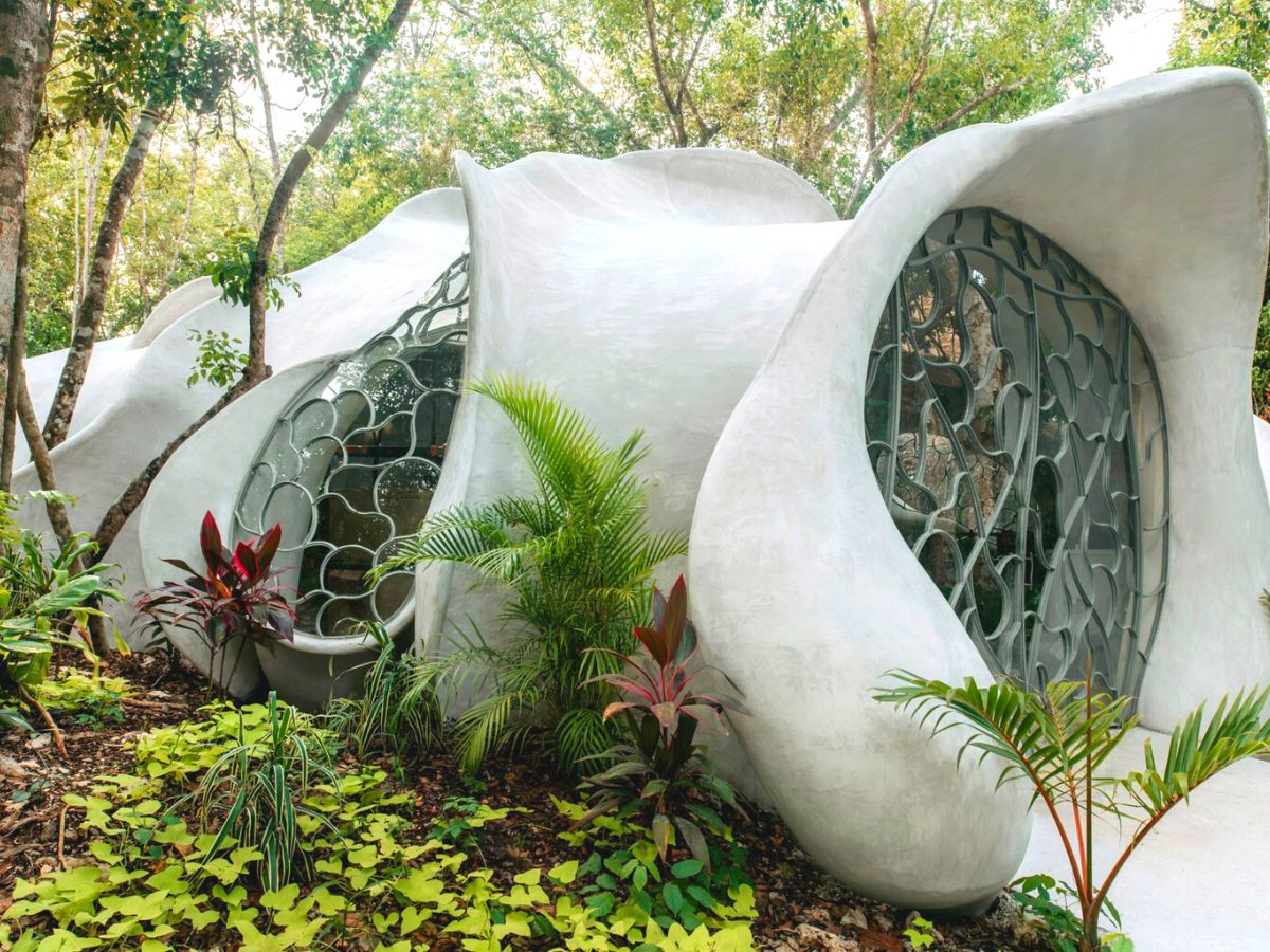 Outside offices surrounded by hundreds of plants and trees