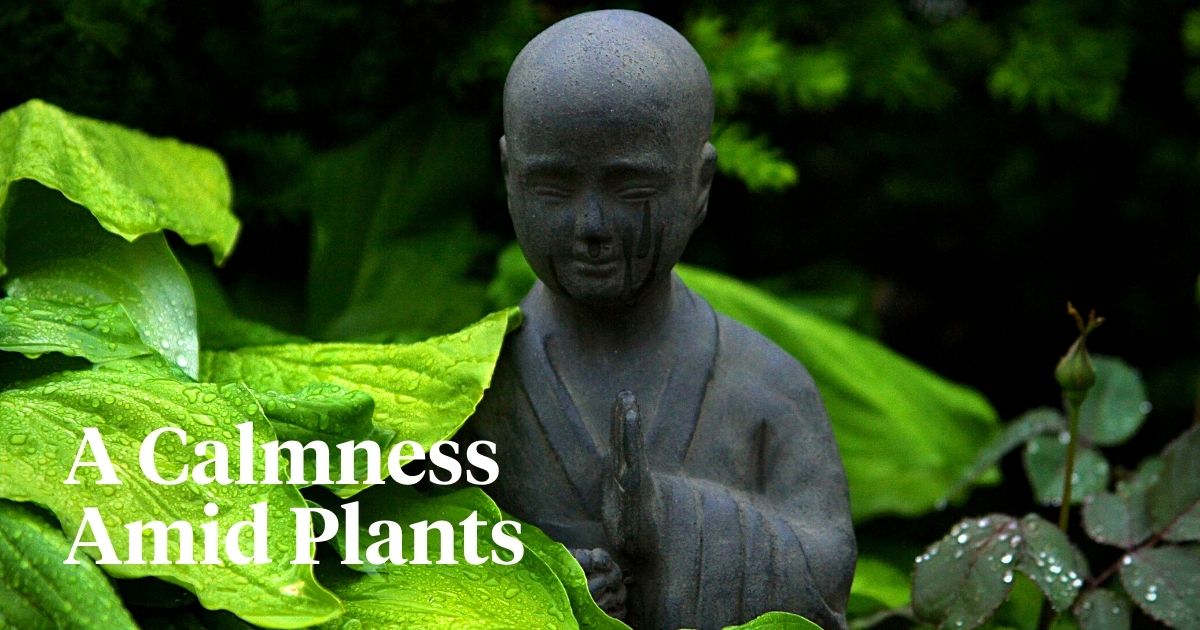 Are Plants and Flowers Ideal in Meditation