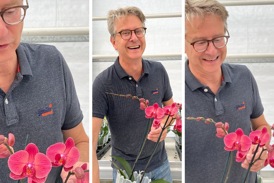 Marc Eijsackers with Miltonopsis at Floricultura