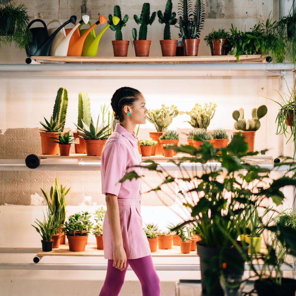 placing lamp above the indoor plant 