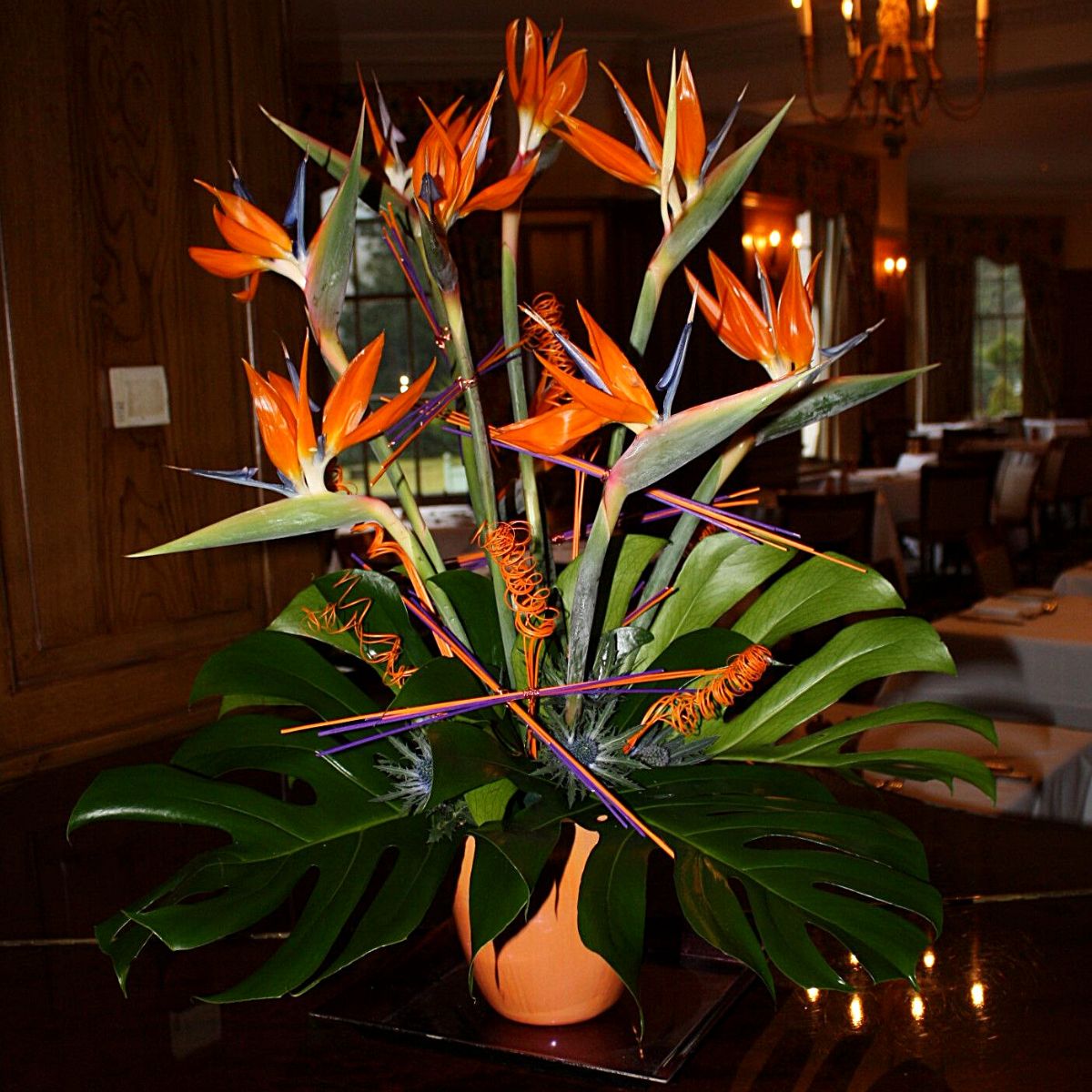 Bird of Paradise in Floral Compositions