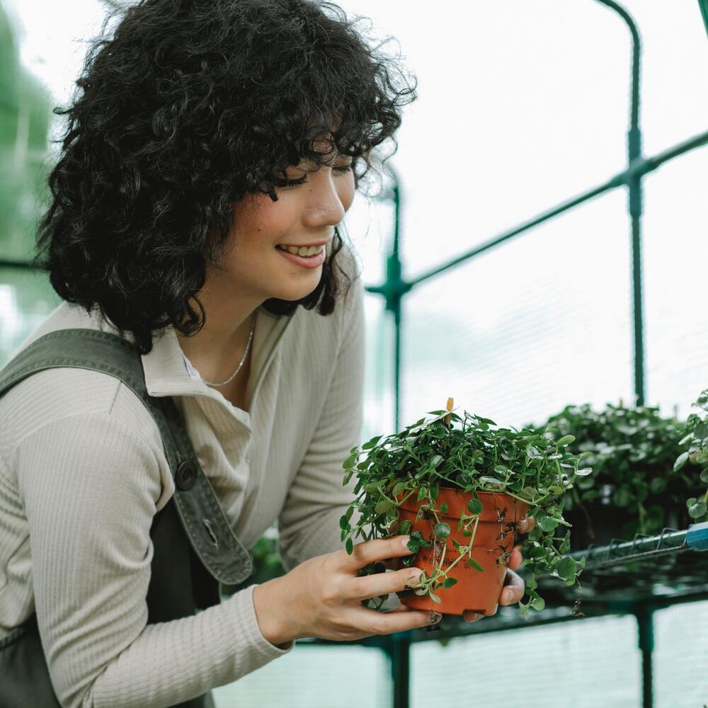 Lady taking care of plants