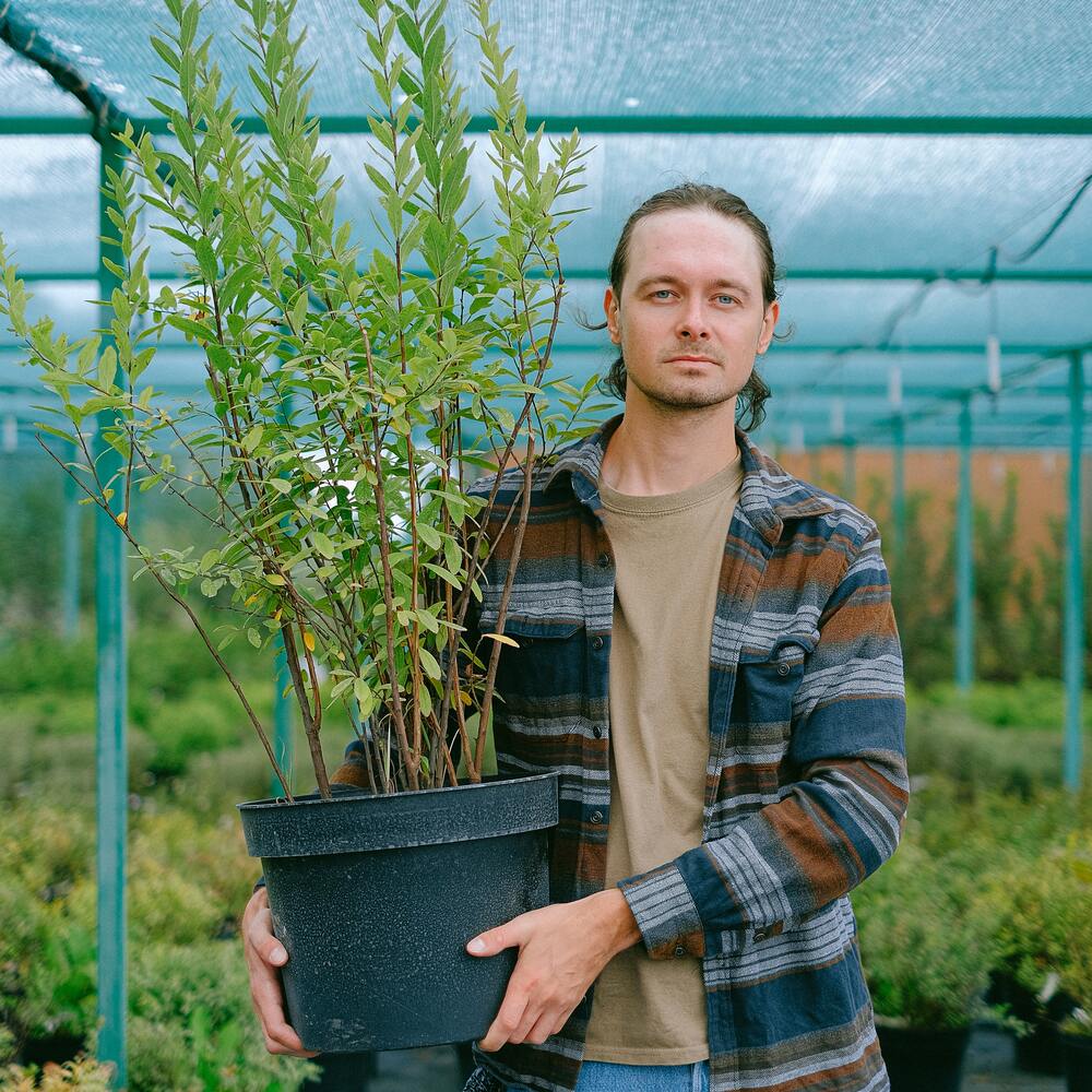 Men with new plant for their home 