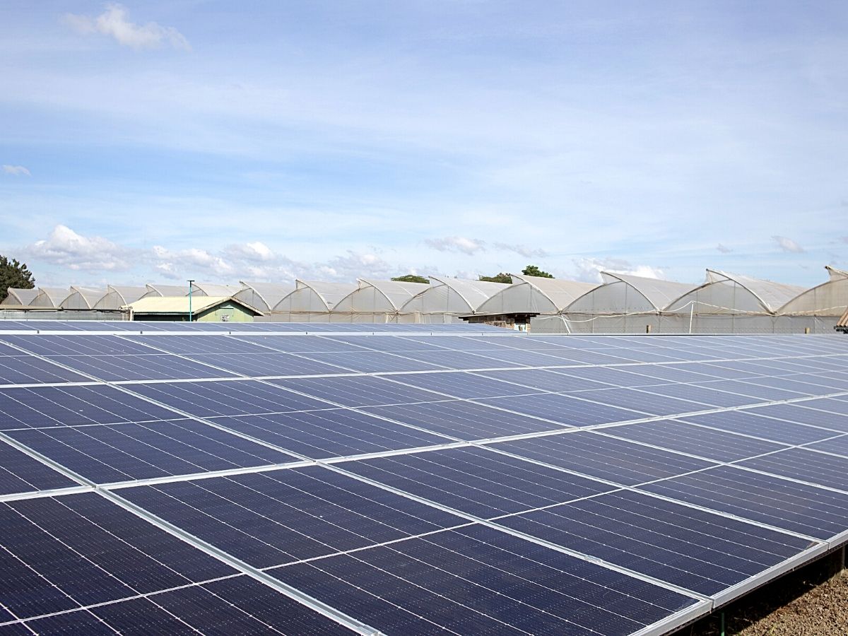 ​​Sian Flowers gets Carbon Net Zero Certification for​ Sustainability