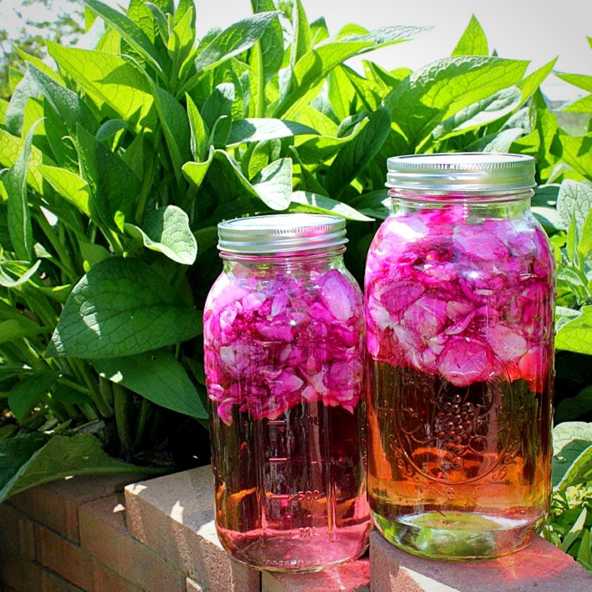Flowers in Traditional Herbal Medicine