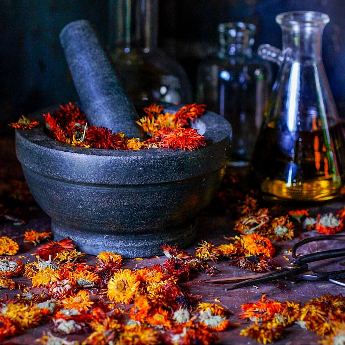 Flowers in Traditional Herbal Medicine