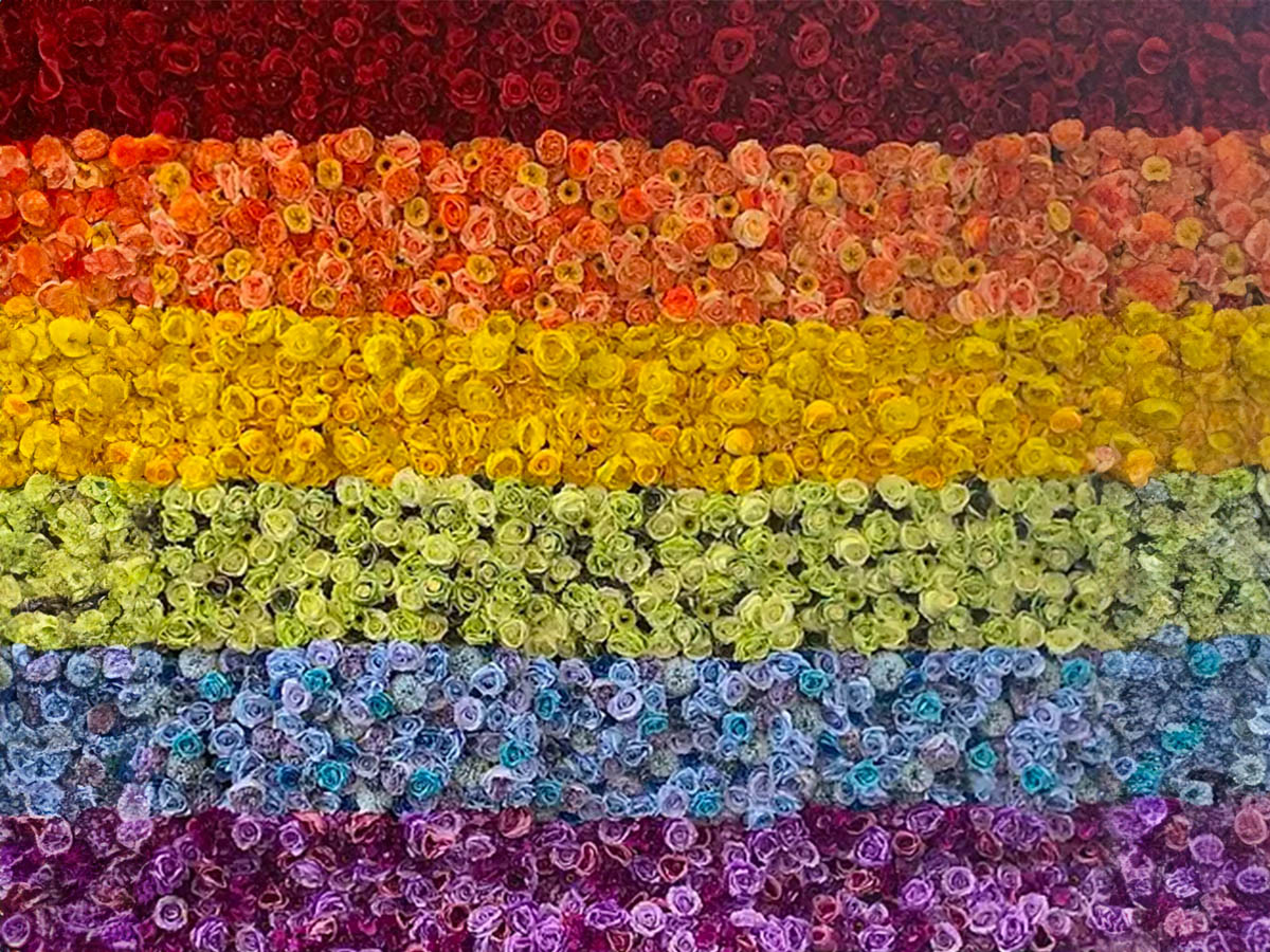 Rainbow Flowerwall
