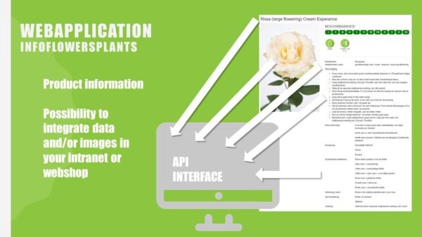 TOTF2021 Floweracademy InfloFlowersPants