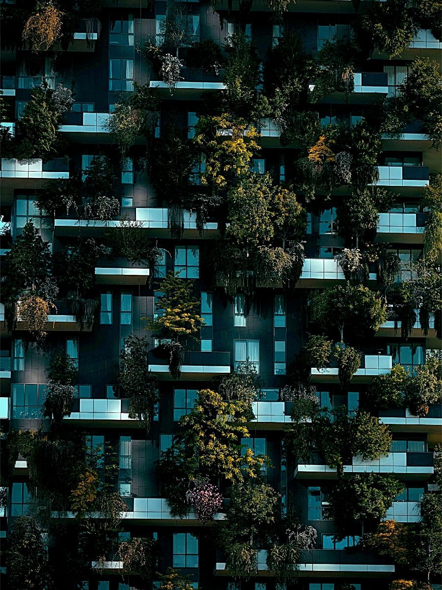 ​Role ​of Plants in Urban Development