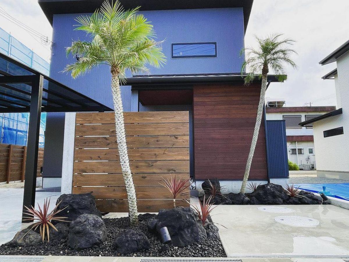 Front door tropical plants