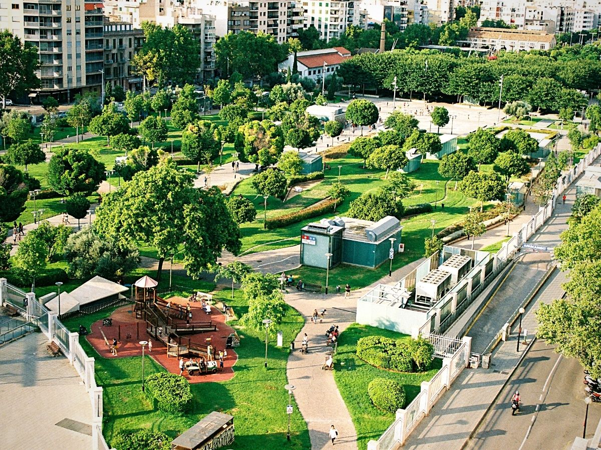 Role ​of Plants in Urban Development