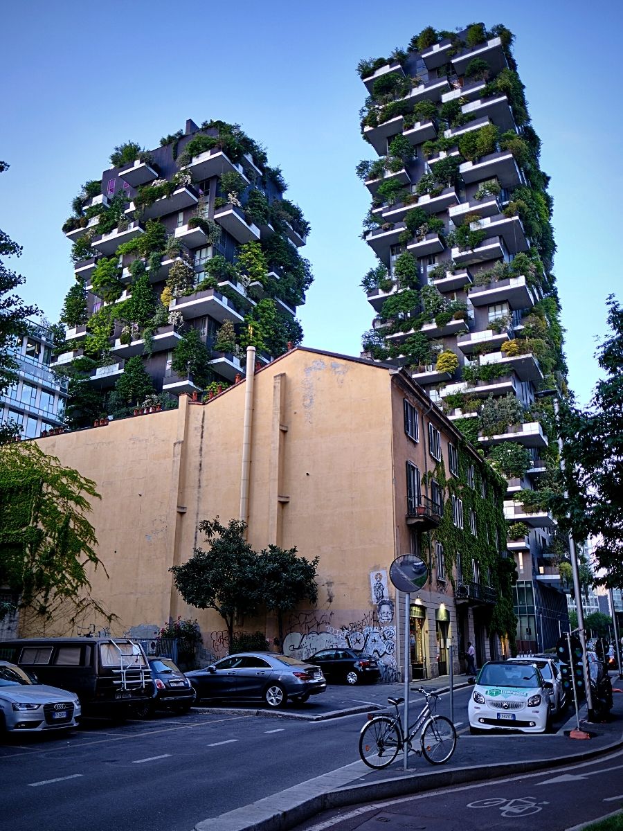 ​The Role of Plants in Urban Development