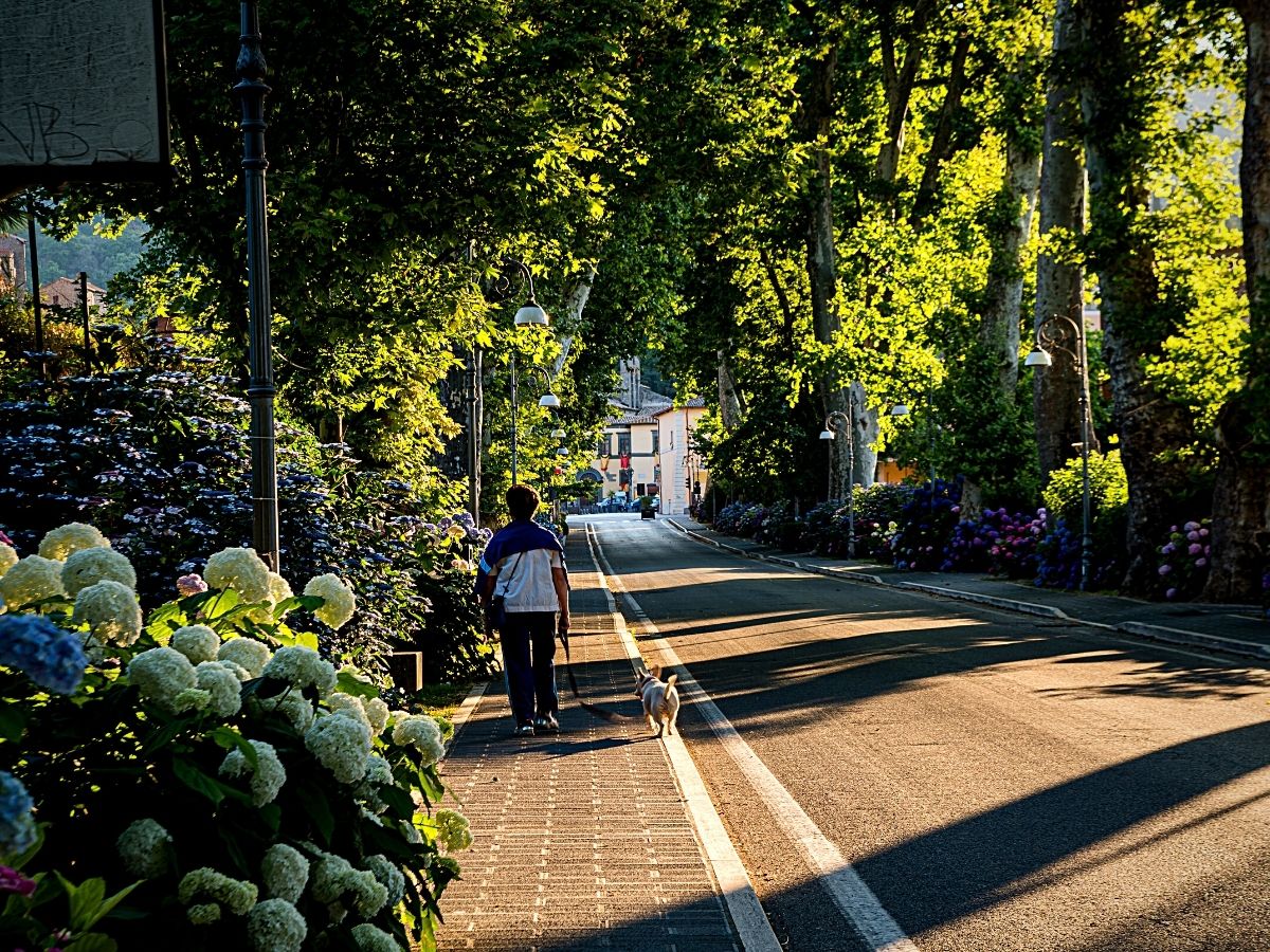 ​The Role of Plants in Urban Development