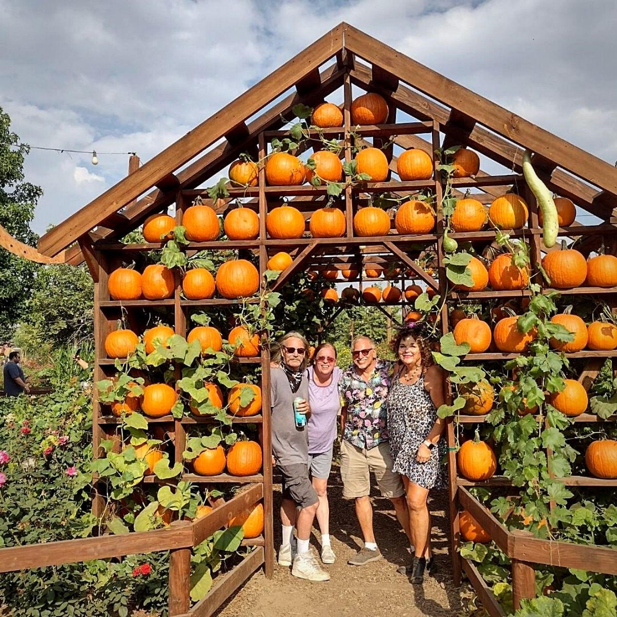 National Pumpkin Day Celebrates Autumn's Iconic Gourd