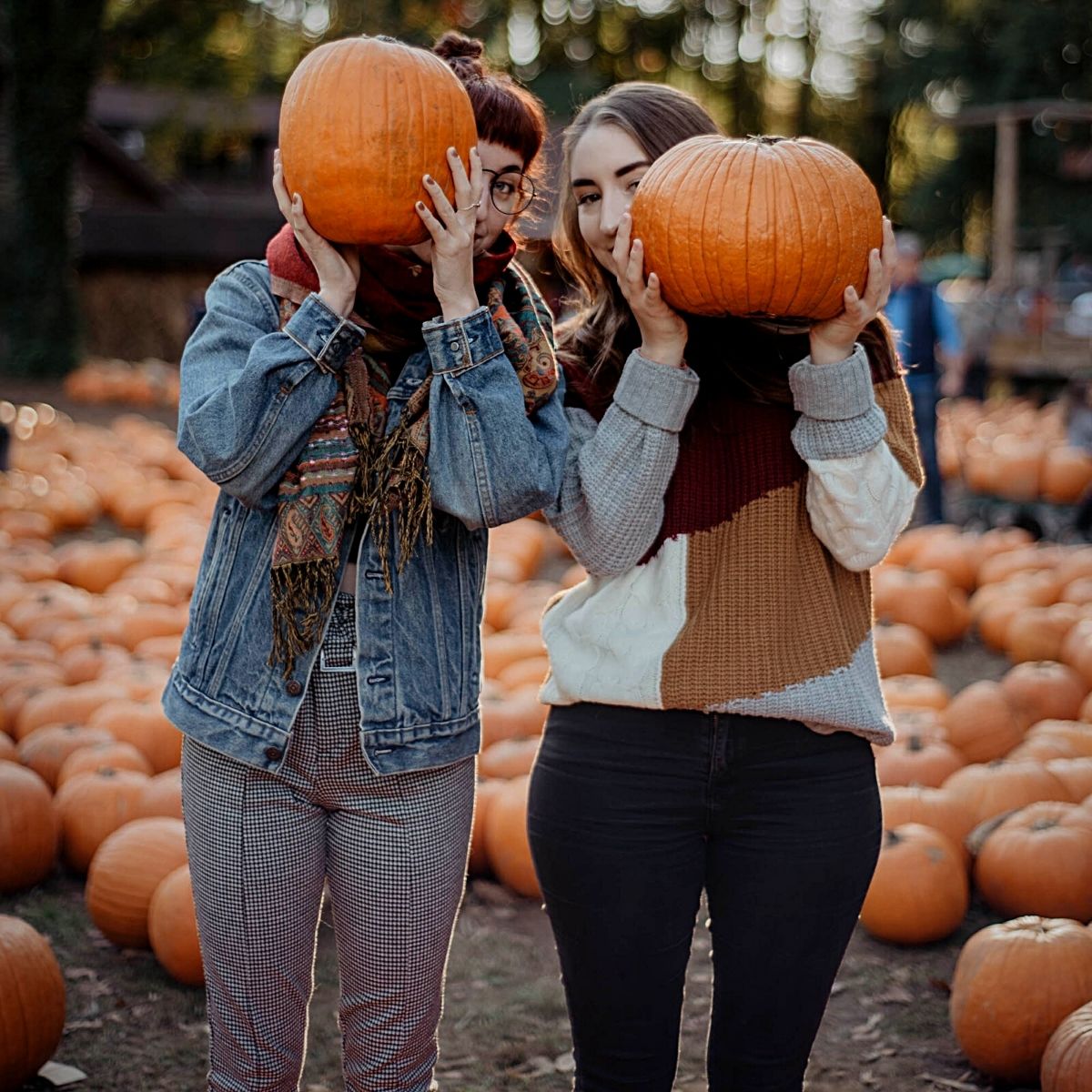 National Pumpkin Day Celebrates Autumn's Iconic Gourd