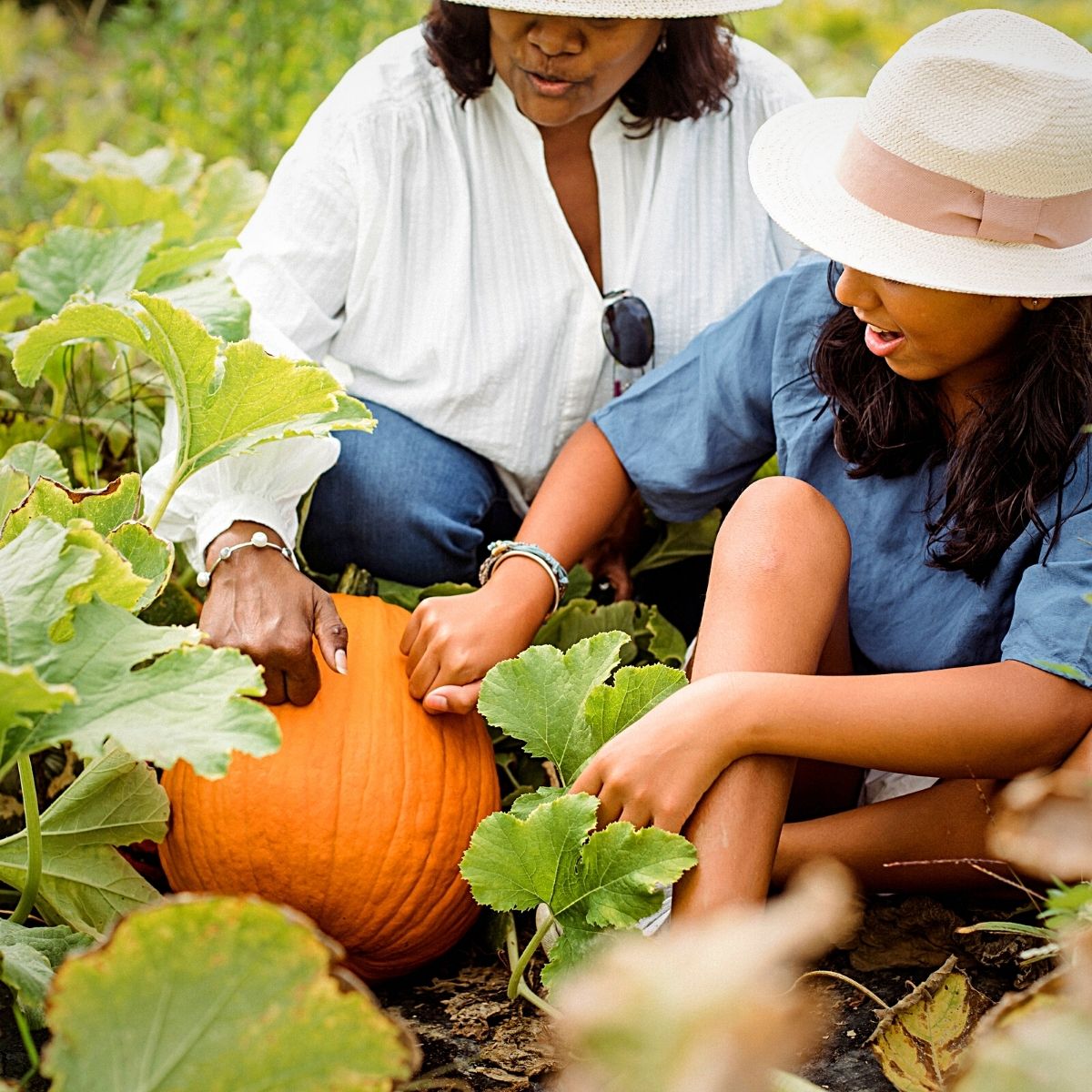 National Pumpkin Day Celebrates Autumn's Iconic Gourd