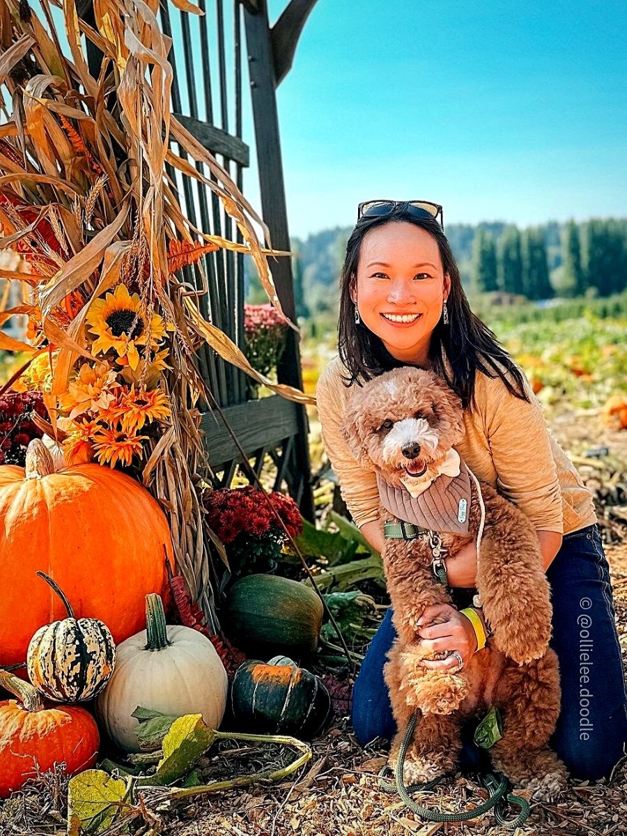 National Pumpkin Day Celebrates Autumn's Iconic Gourd