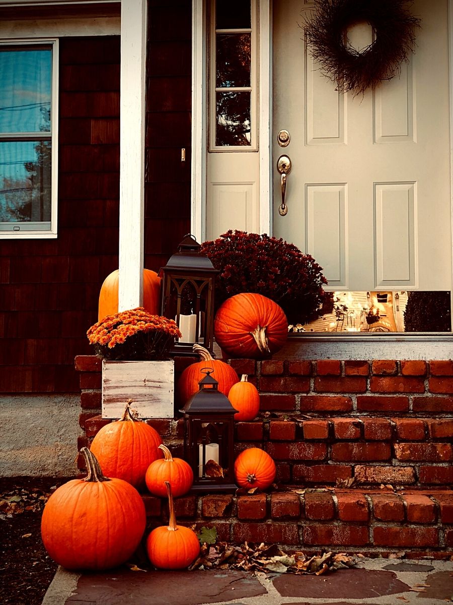 National Pumpkin Day Celebrates Autumn's Iconic Gourd - Article onT...