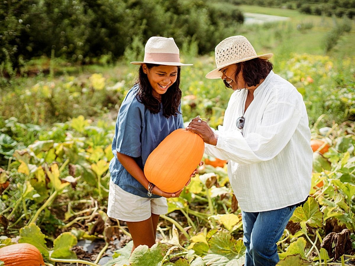 National Pumpkin Day Celebrates Autumn's Iconic Gourd