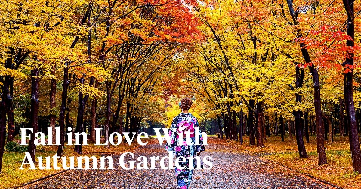 Gardens Where You Can Experience Fall's Floral Spectacle