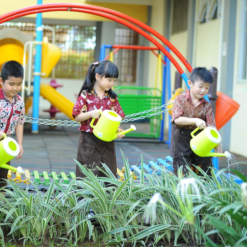 kid watering to school plants