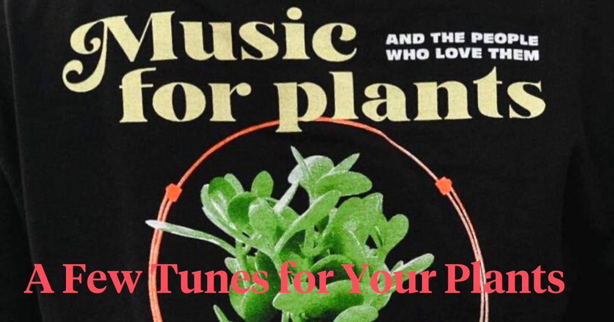 Music for your plants