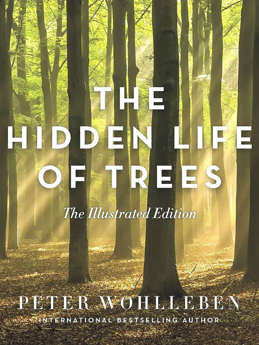The hidden life of trees book