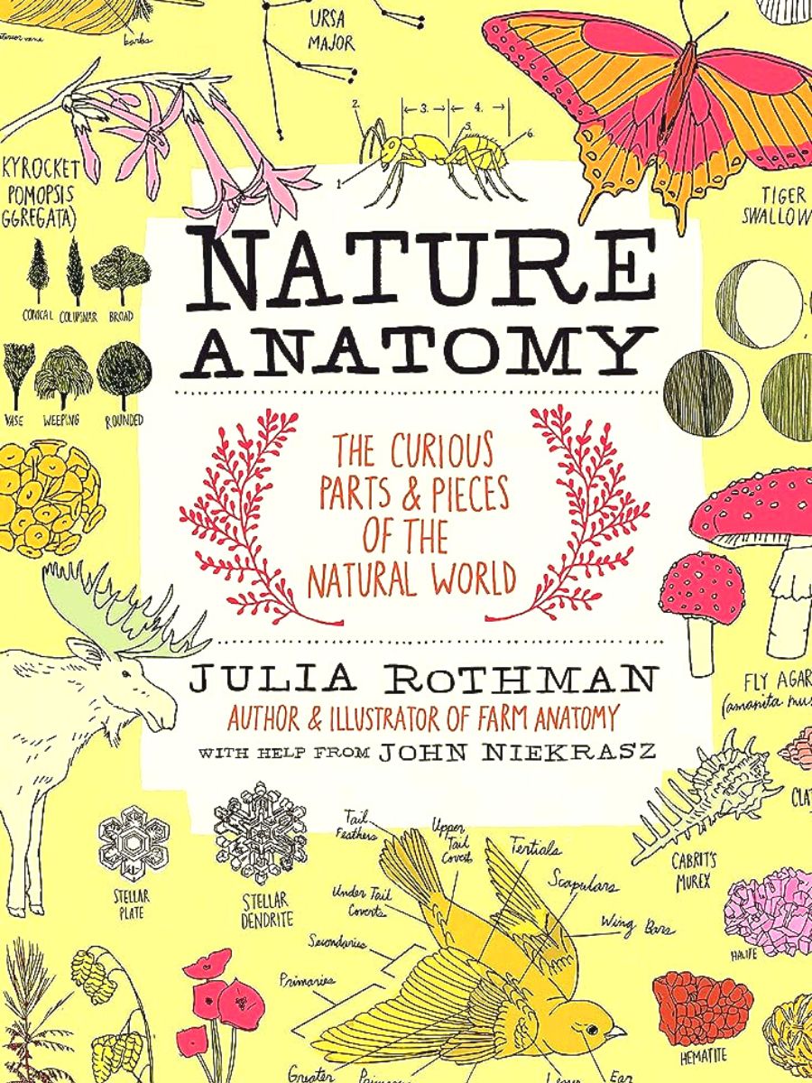 Nature anatomy book about everything nature