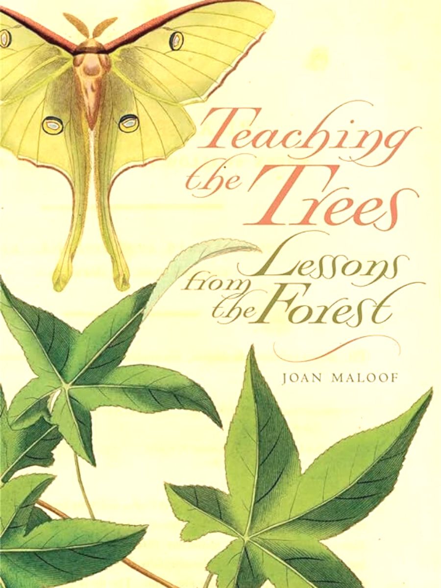 Teaching the trees