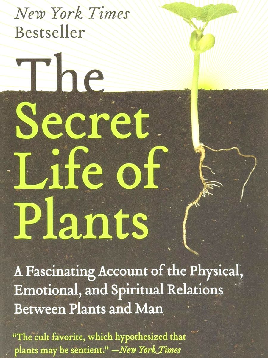 The secret life of plants