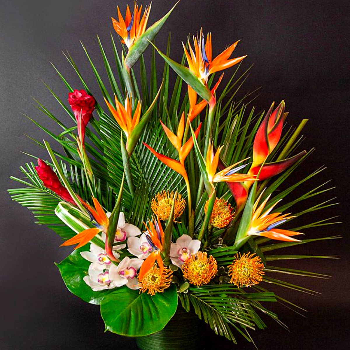 Bird of Paradise in Floral Compositions