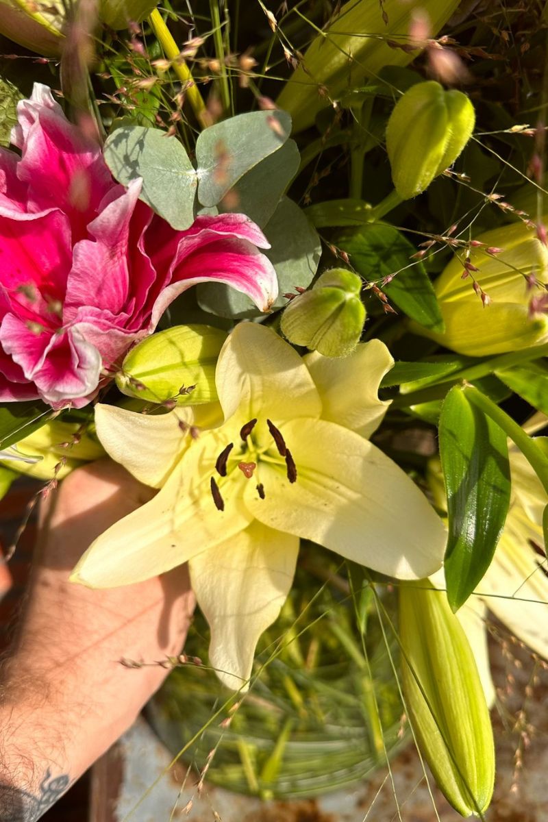 To Be BFF and Work With These Excellent Lilies Is an Honor