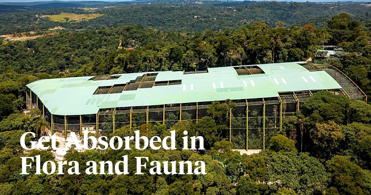 ​Animalia Park offers an immersive experience ​with fauna in nature.