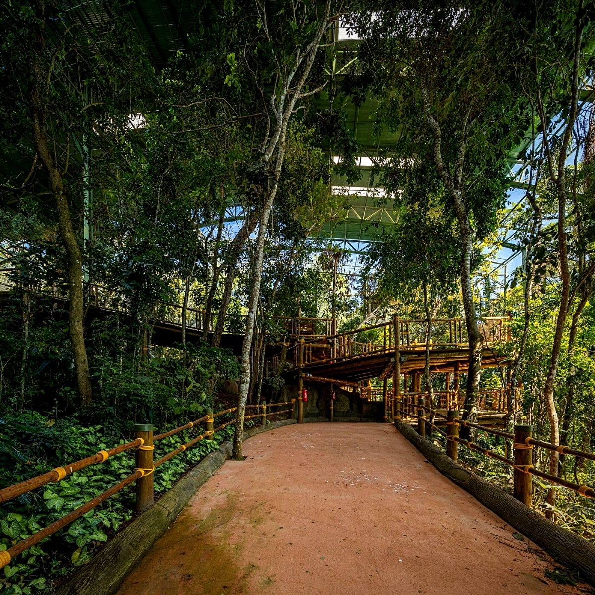 ​Animalia Park offers an immersive experience ​with fauna in nature