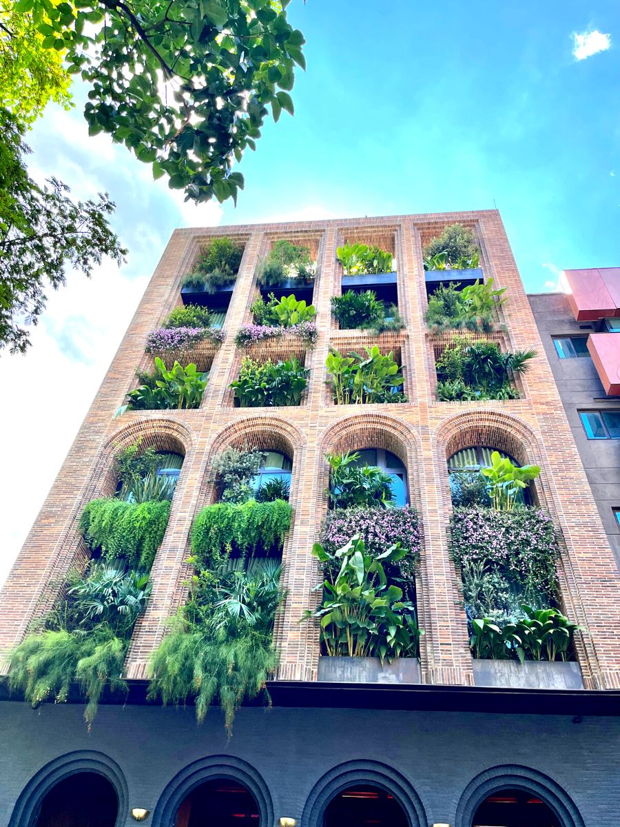 Hotel in Medellin with lots of plants in eco brutalist style