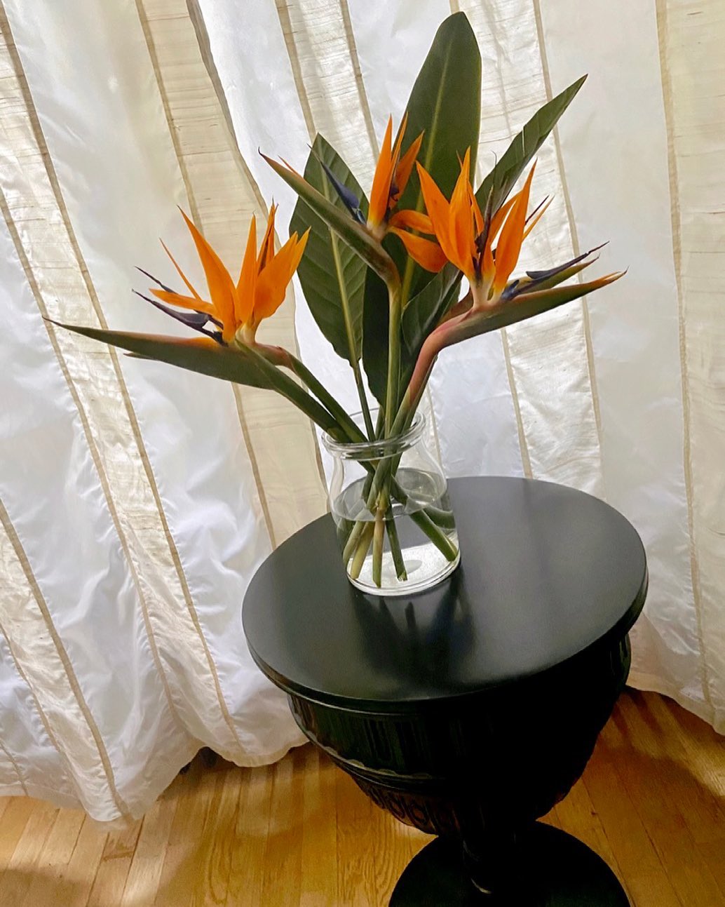 Mono Bouquet with Bird of Paradise Flowers