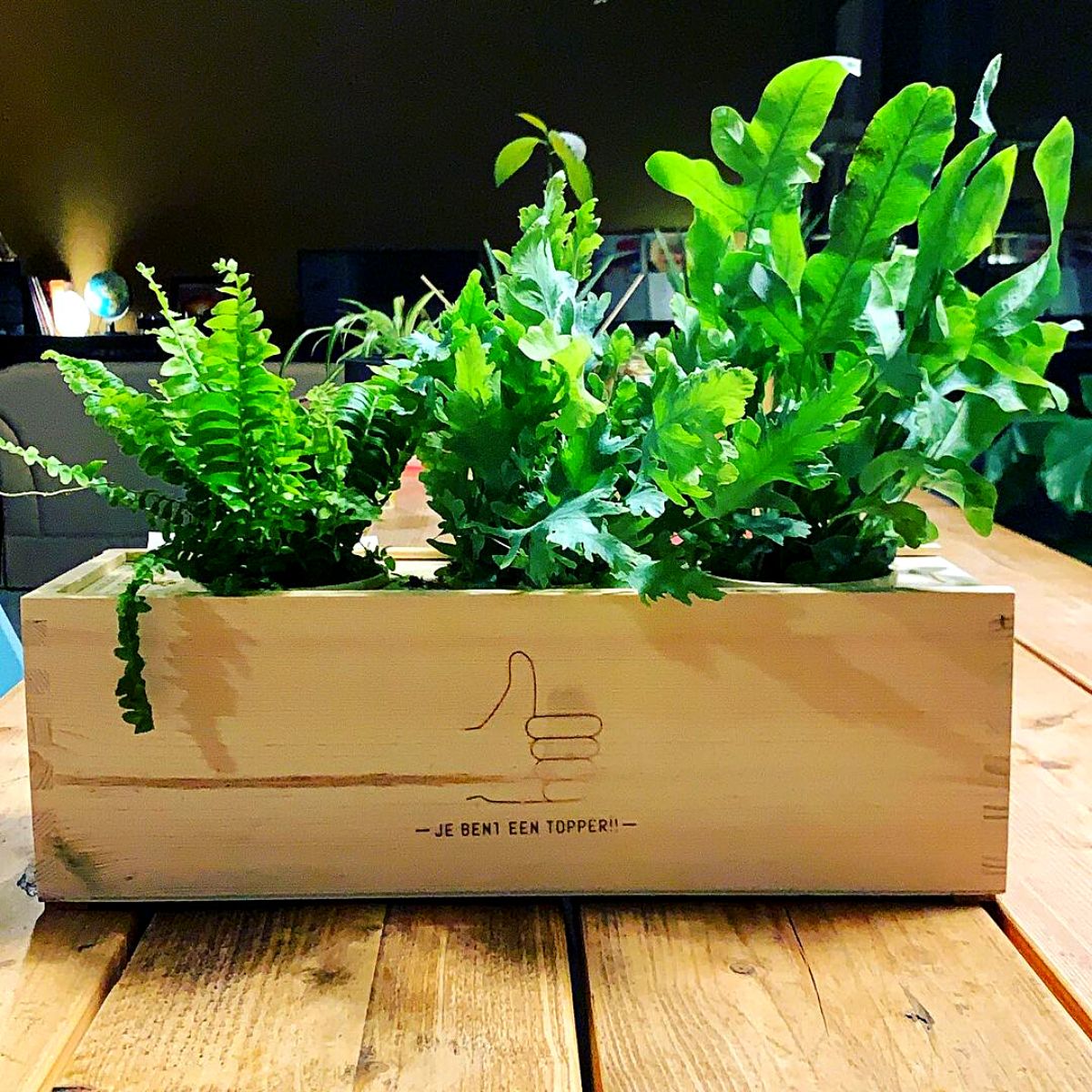 ​B​looms out of the Box's sustainable BloomsBox