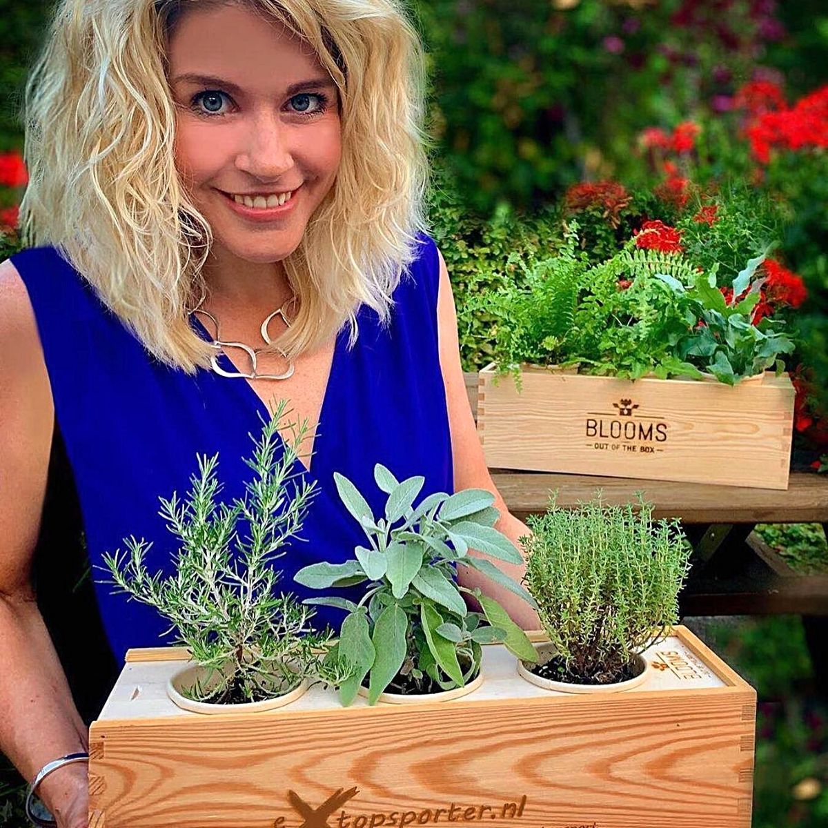 ​B​looms out of the Box's sustainable BloomsBox