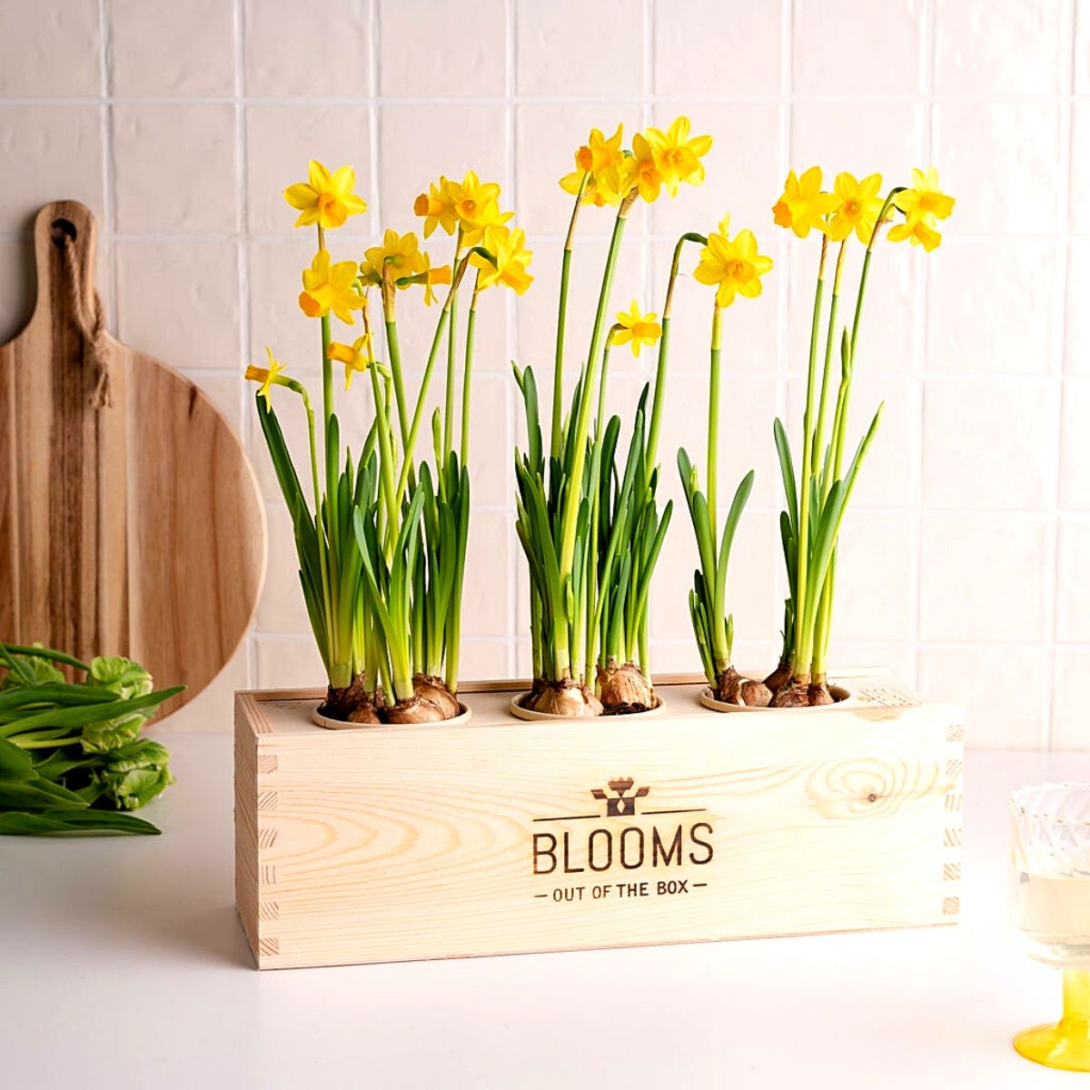 ​B​looms out of the Box's sustainable BloomsBoxes