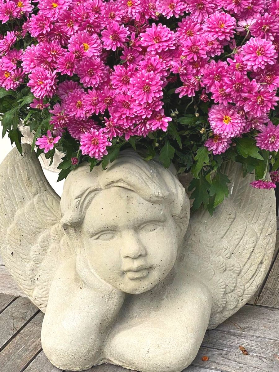 A saint with pink mums