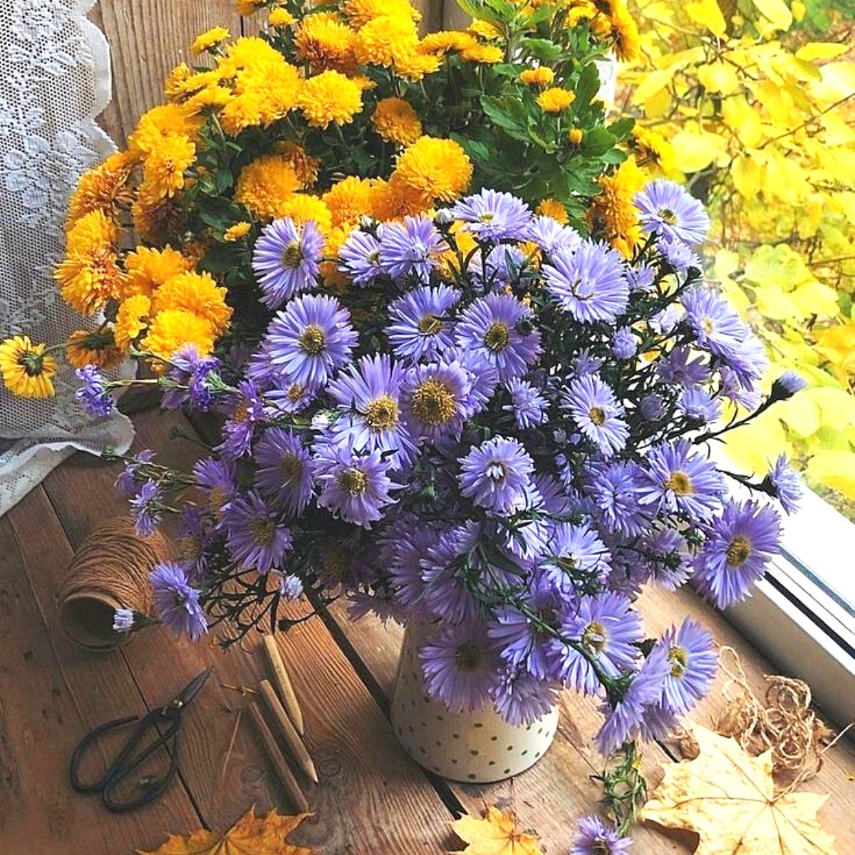 Typical Autumn Flowers You Need to Try Out