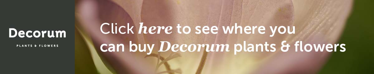 Decorum Banner