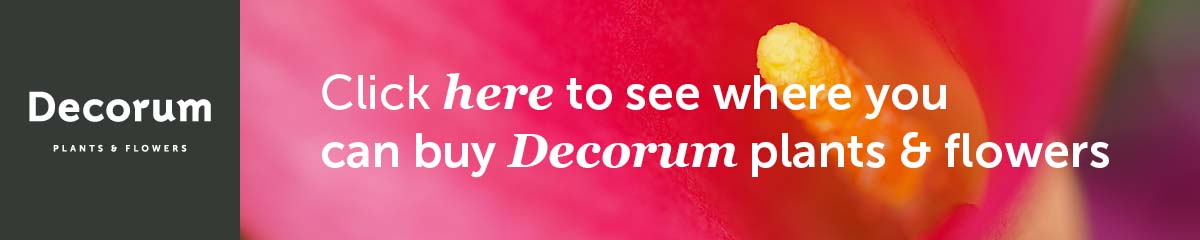 Decorum banner