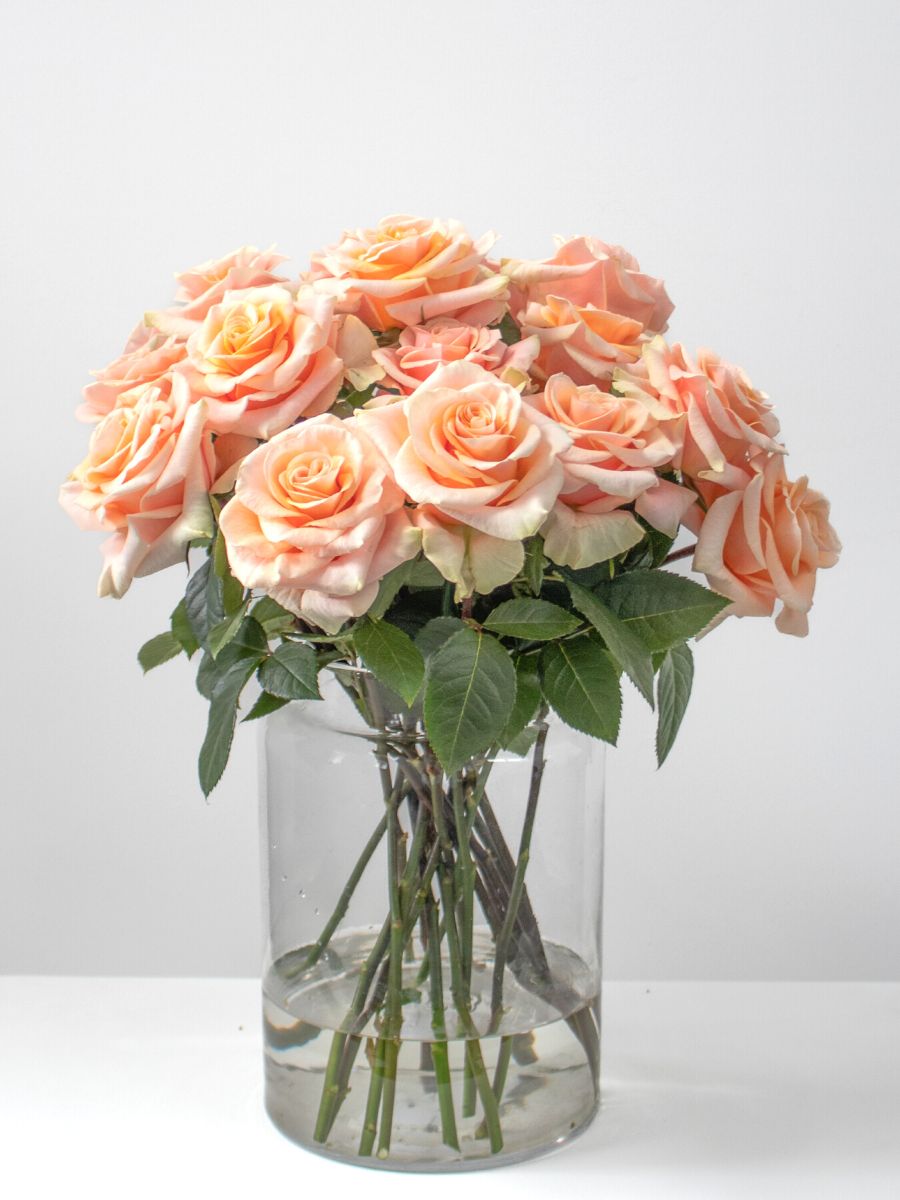 A handful of Rose Phoenix in a vase